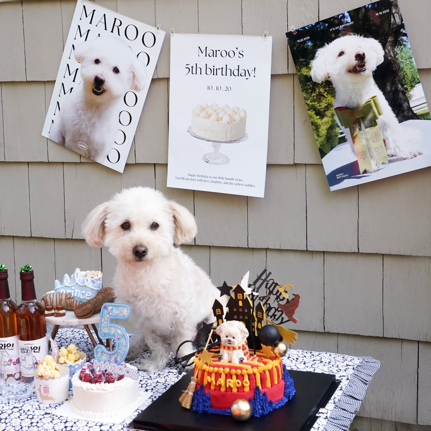 Custom Pet Birthday Poster