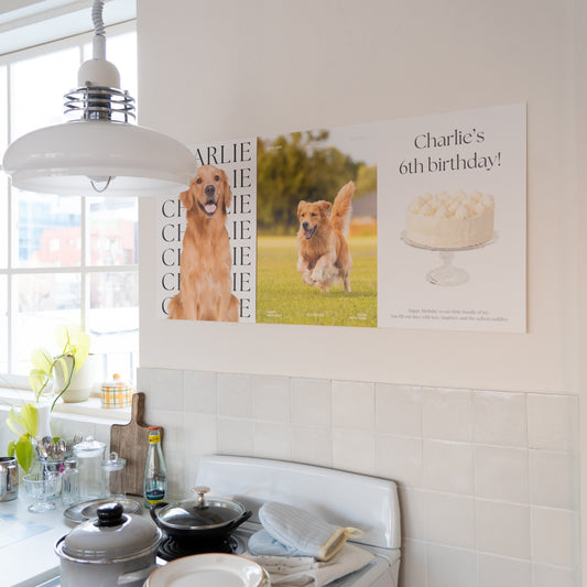 Custom Pet Birthday Poster