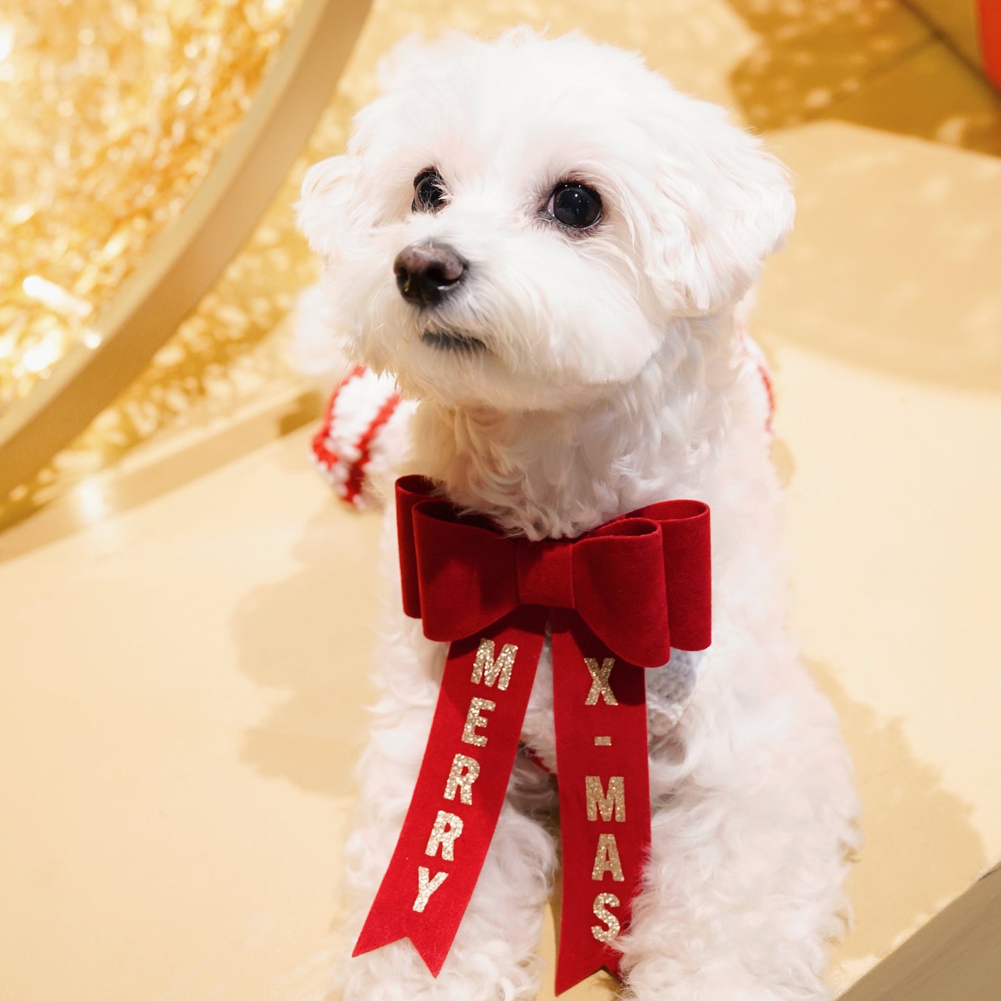 Limited Christmas Edition Bowtie