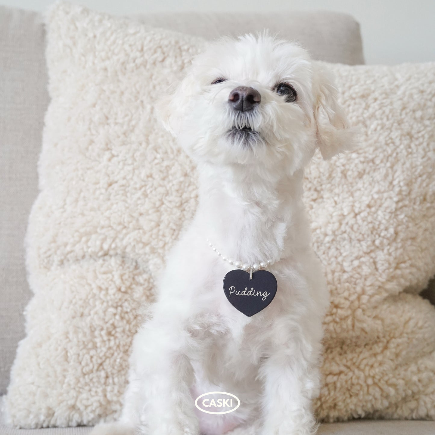 Leather Dog Tag with Swarovski Pearl Necklace