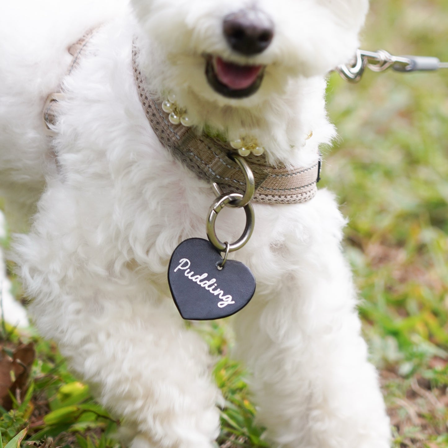 Leather Dog Tag