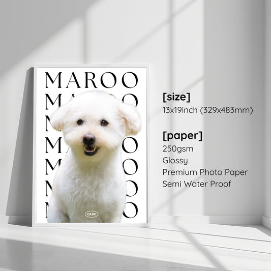 Custom Pet Birthday Poster