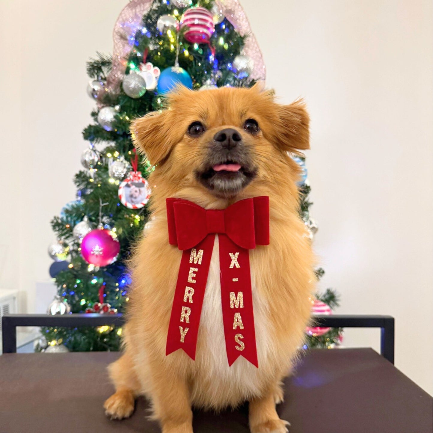 Limited Christmas Edition Bowtie