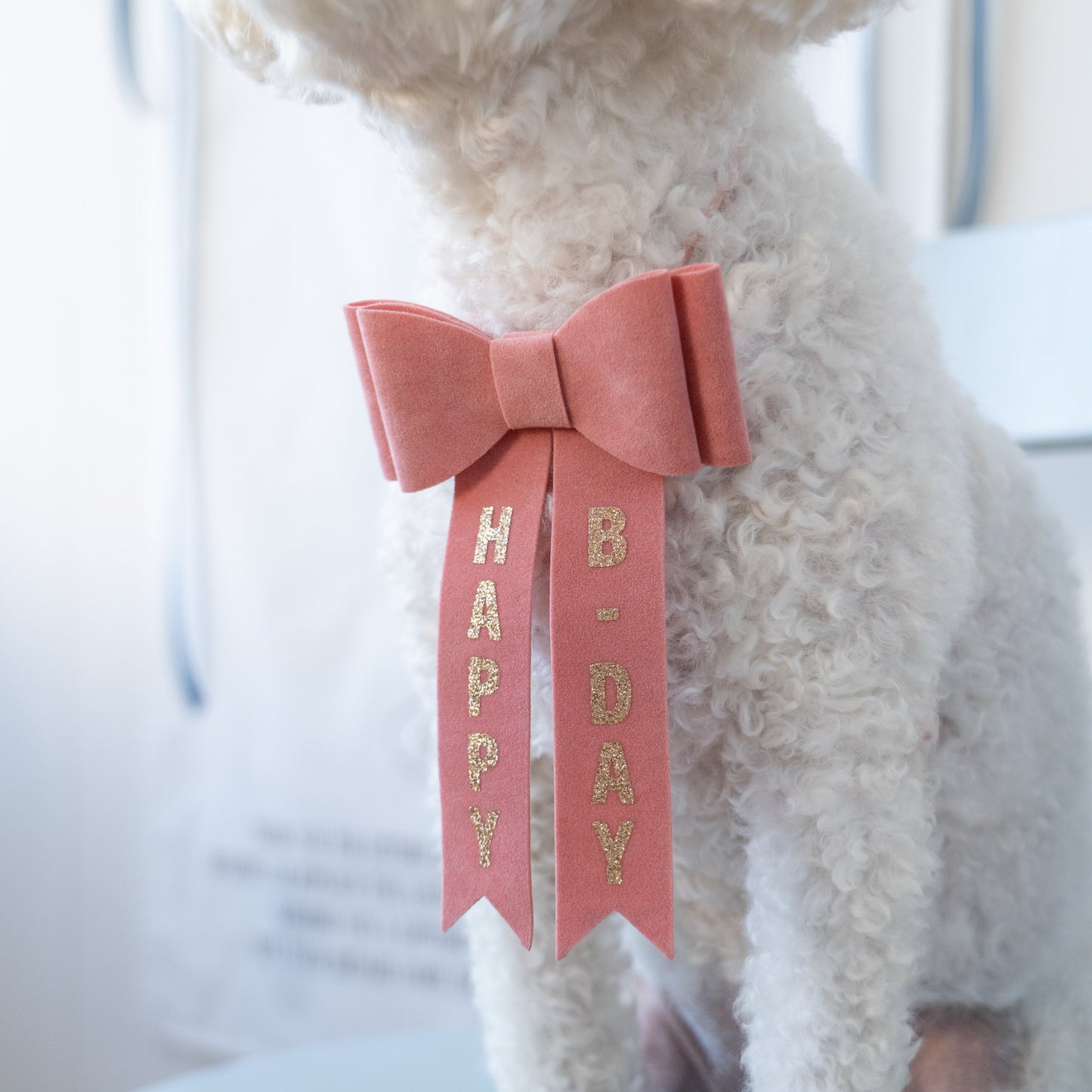 Birthday Bowtie