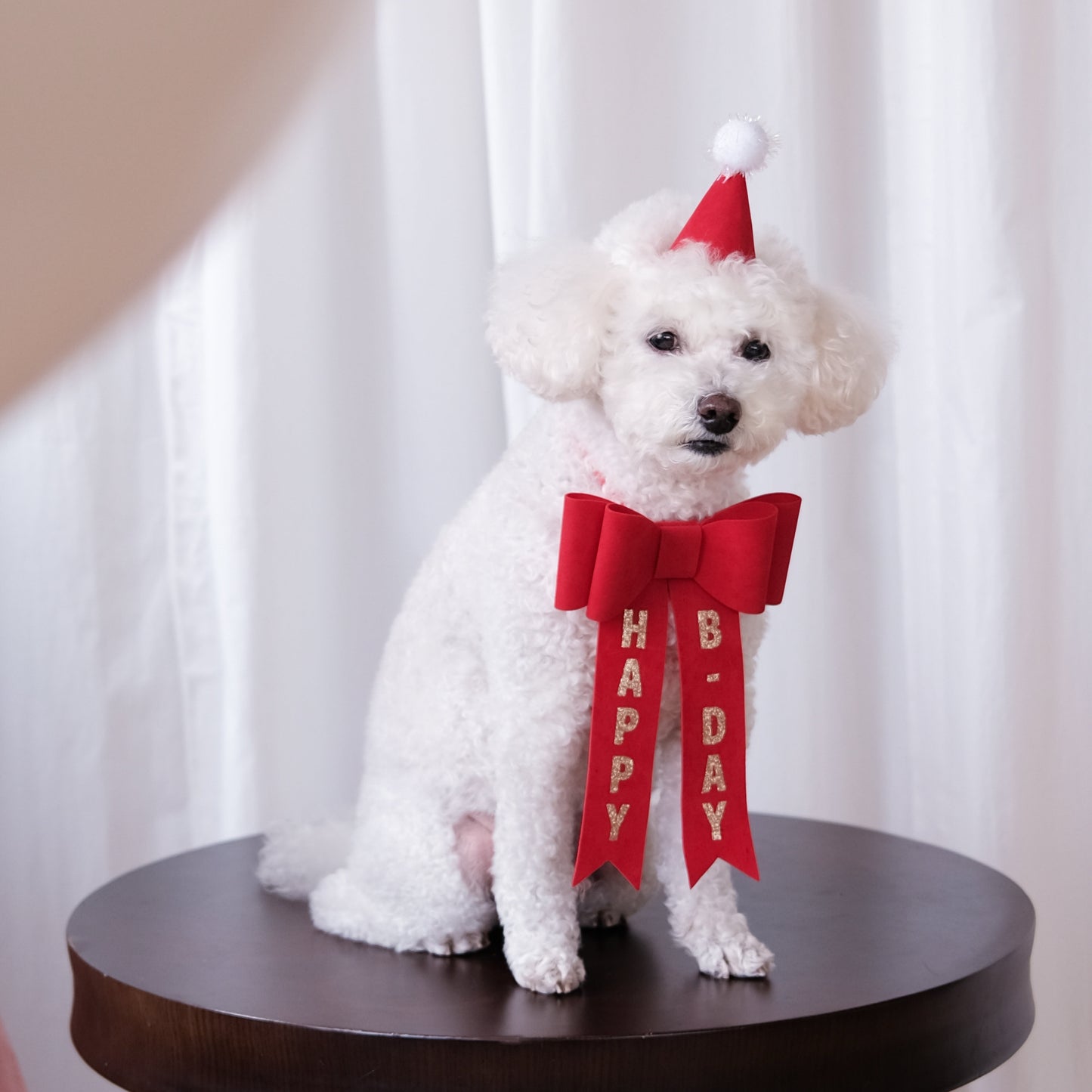 Party Hat