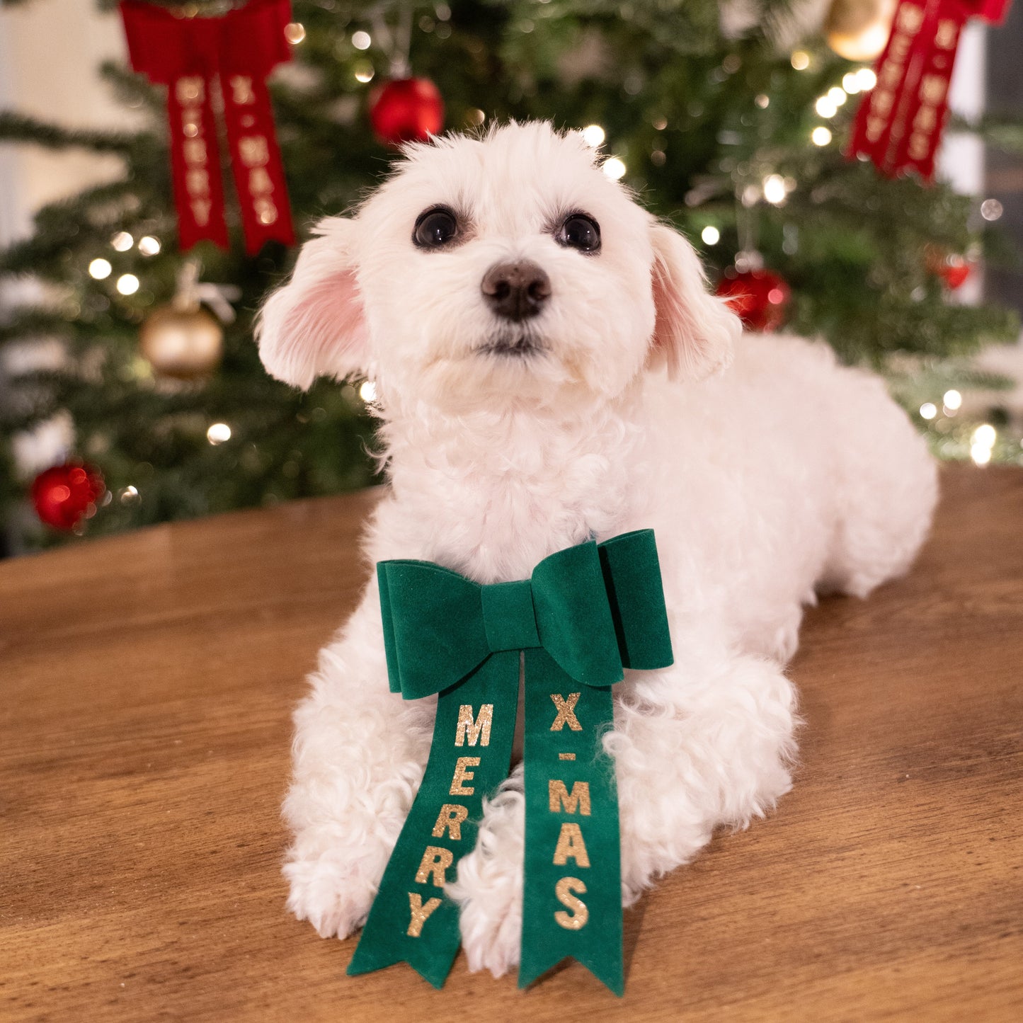 Limited Christmas Edition Bowtie