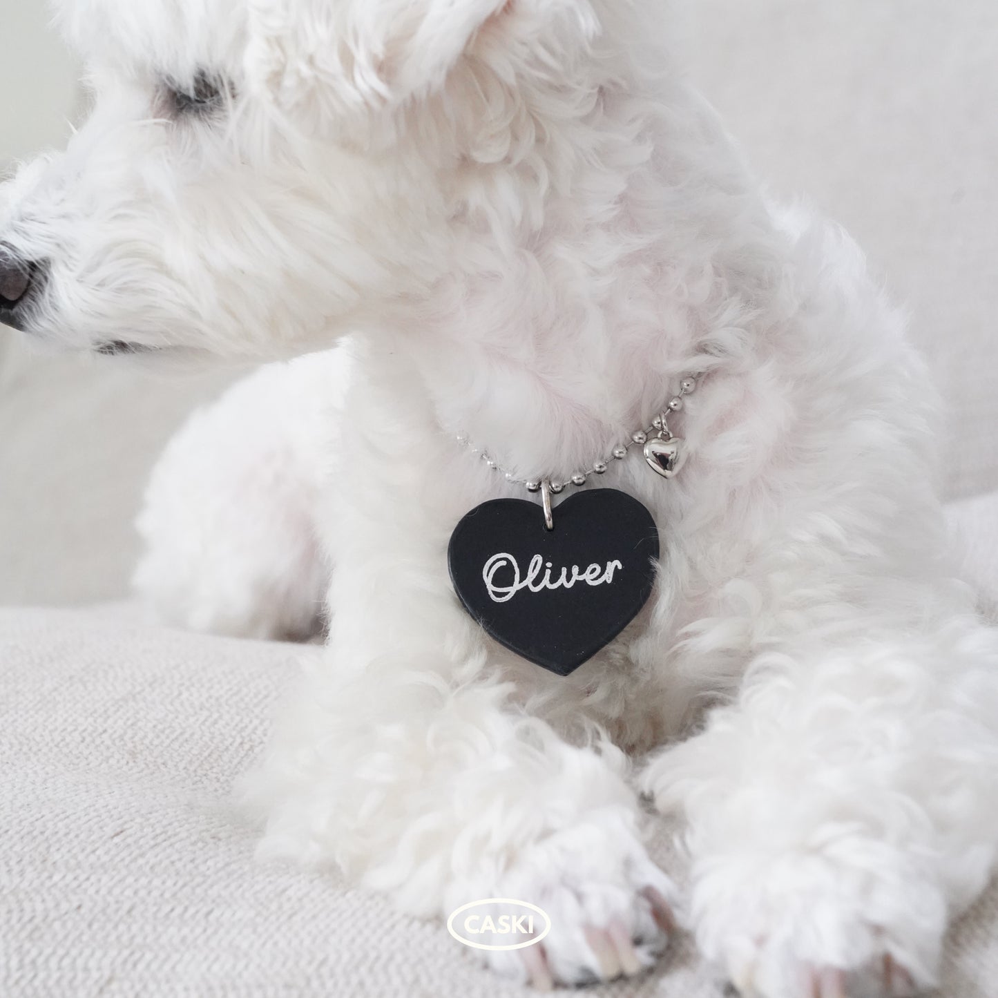 Leather Dog Tag with Surgical Steel Necklace