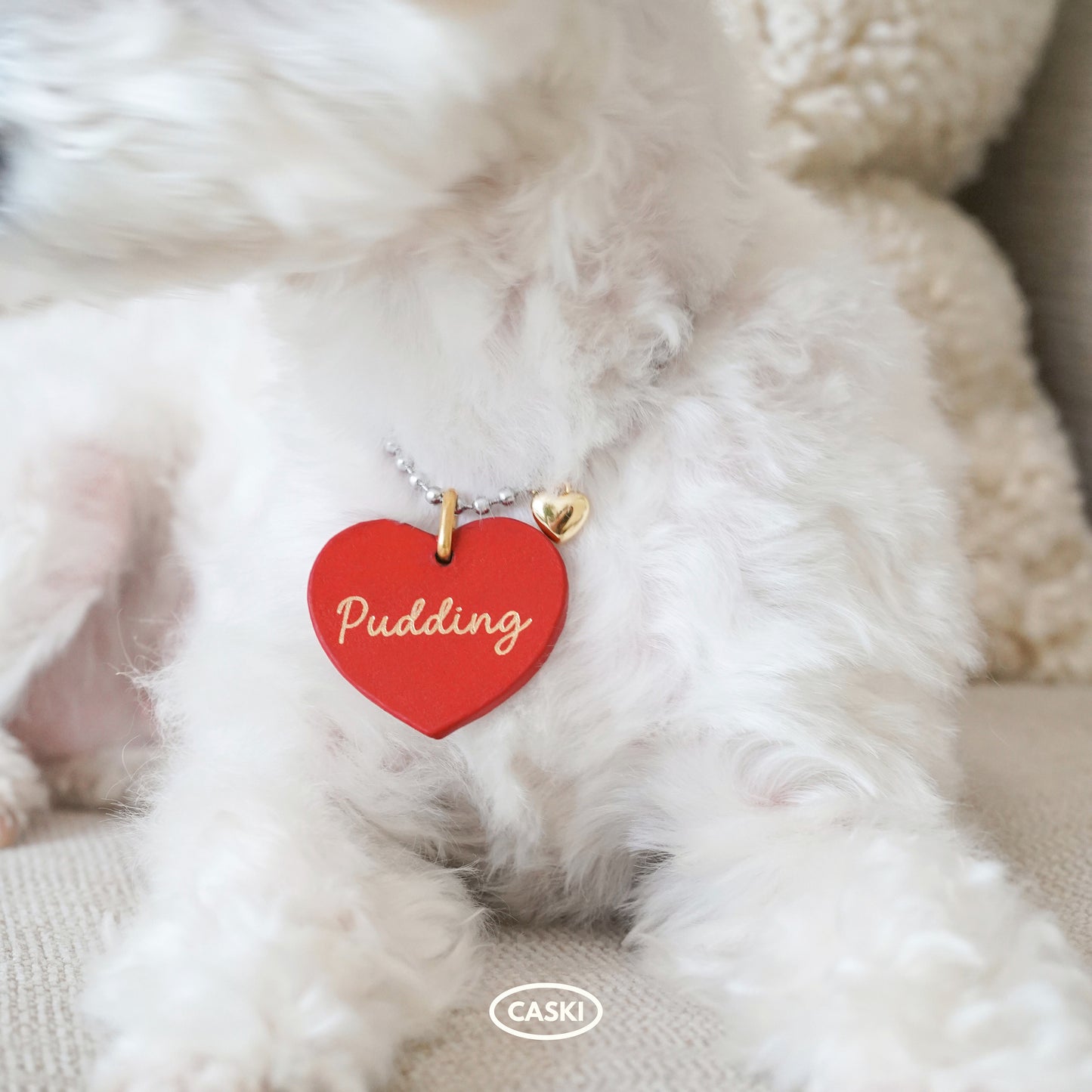 Leather Dog Tag with Surgical Steel Necklace