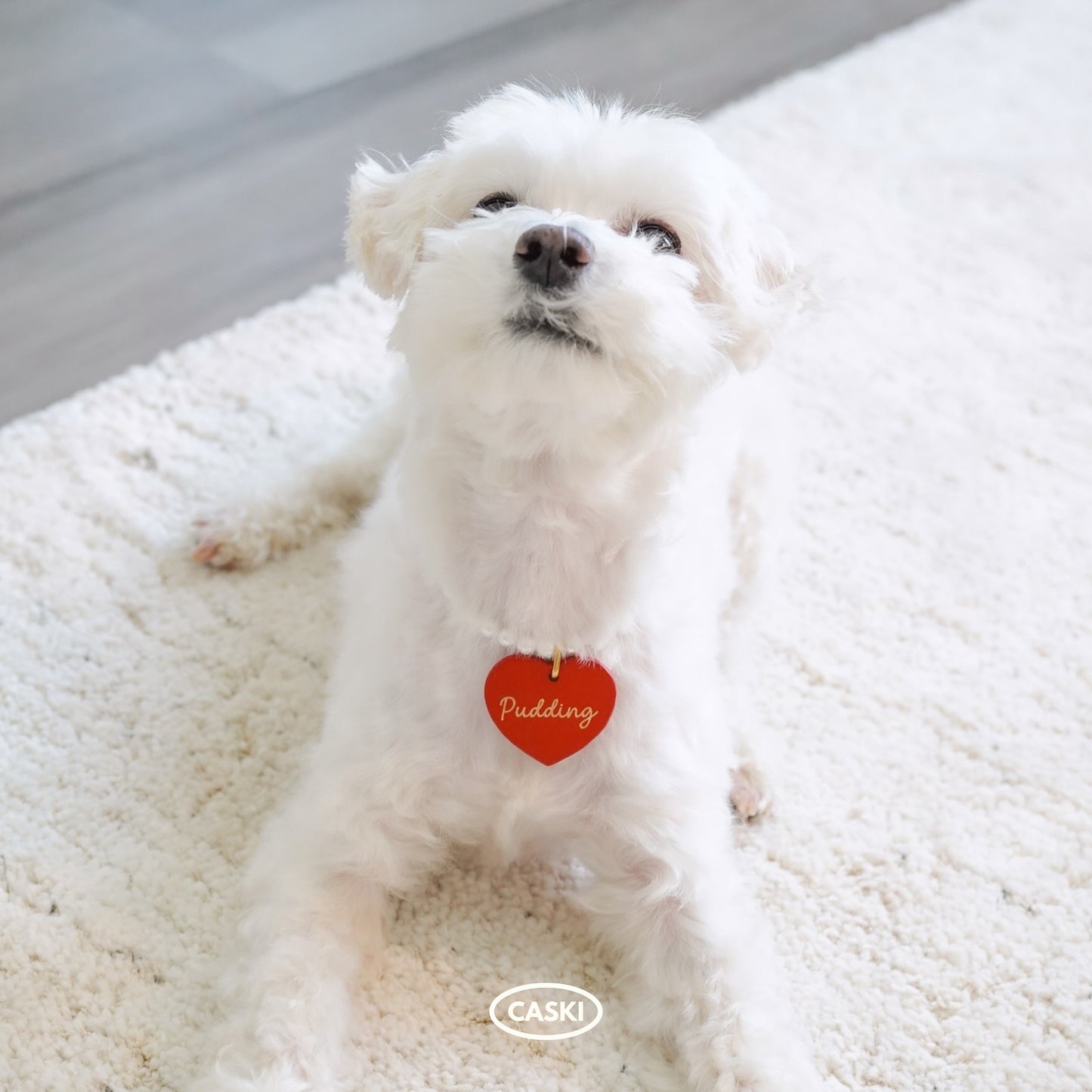 Leather Dog Tag with Swarovski Pearl Necklace