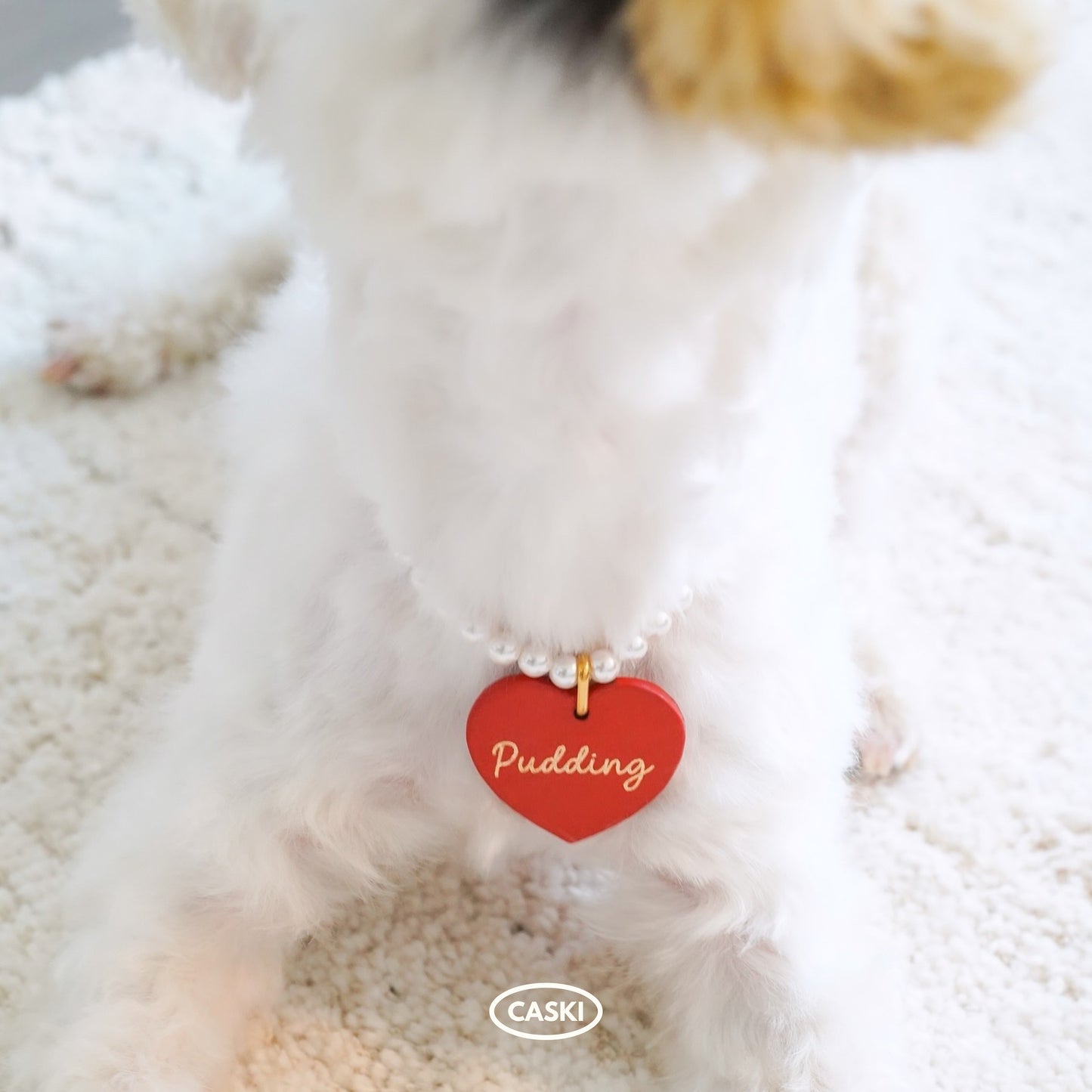 Leather Dog Tag with Swarovski Pearl Necklace