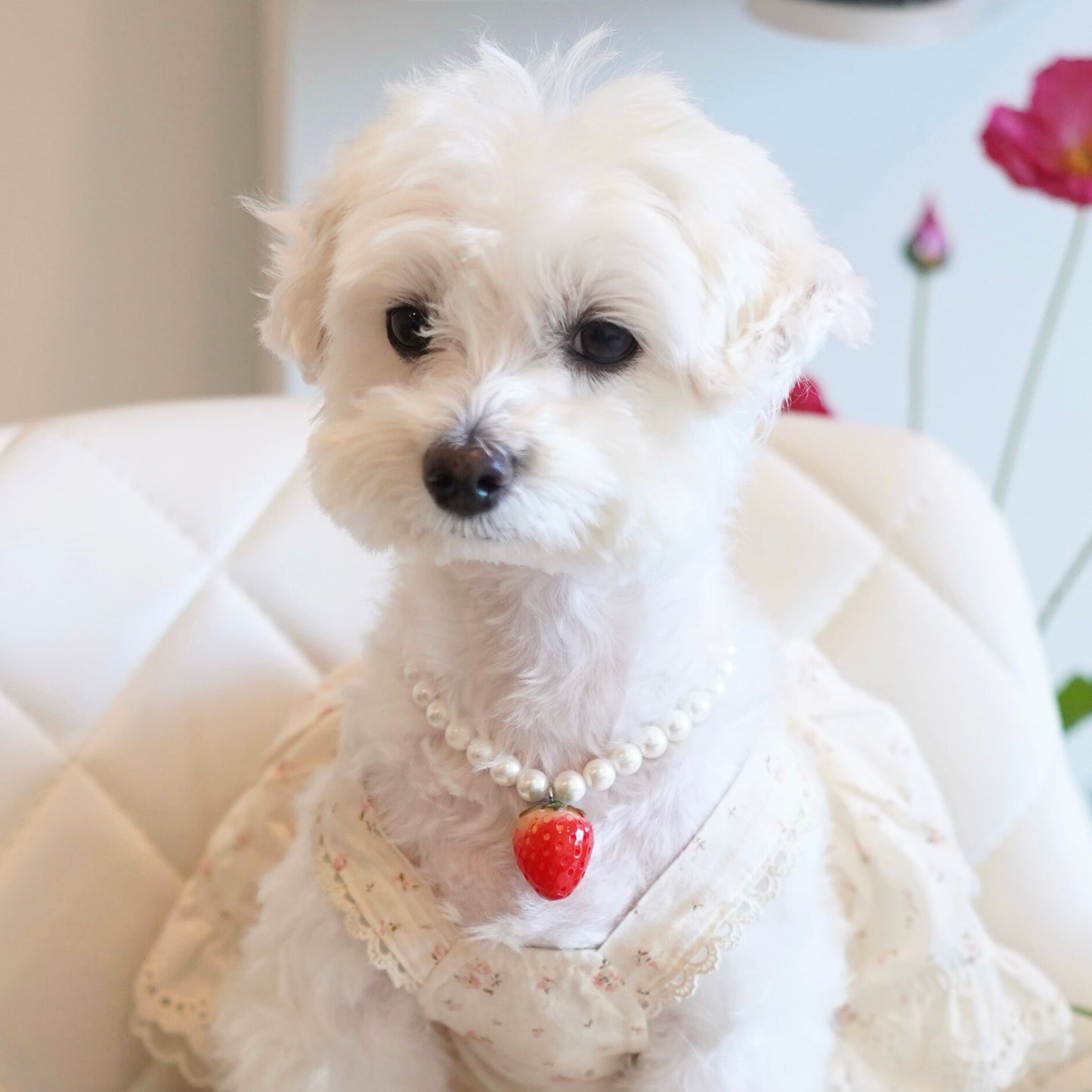 Swarovski Pearl Necklace with strawberry charm